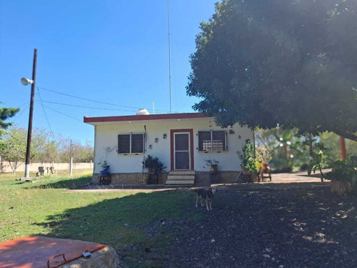Venta Amplio Terreno De 6000 M2 Tahdzibichen, Merida, Yucatan.
