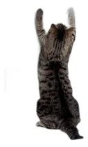 Comprar Laminet The Original Deluxe Pet Scratch Shields Proteja Sus