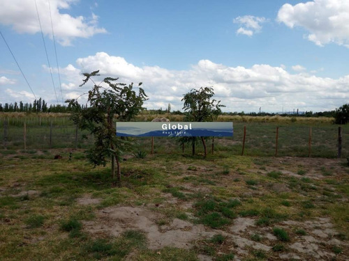 Imagen 19 de 26 de Excelente Finca De 31 Has En San Rafael , Mendoza Zona Vitivinícola Argentina