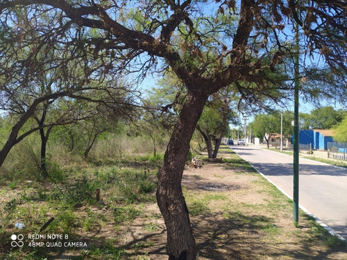 Imagen 5 de 14 de Terrenos En Venta En San Luis