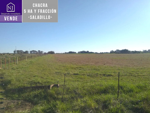 Imagen 3 de 7 de Vendo Chacra En Saladillo, Muy Buena Ubicacion