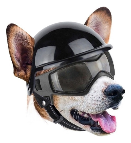 Casco Con Lentes Para Perro Pequeño A Mediano Para Moto