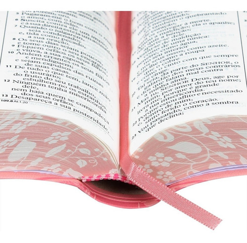Bíblia Sagrada Letra Grande Almeida Revista E Atualizada Sbb