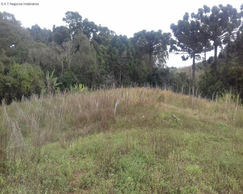 Imagem 4 de 18 de Sitio À Venda No Monjolada - Guiapiara/sp - St00246 - 68125721