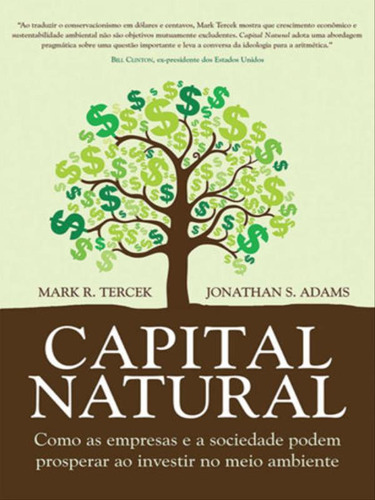 Capital natural: Como as empresas e a sociedade podem prosperar ao investir no meio ambiente, de Tercek, Mark R.. Editora Alaúde, capa mole em português