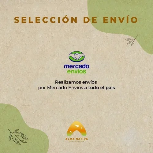Imagen 9 de 9 de Pack X 6 Vino Torrontés Raza Argentina Bicentenario