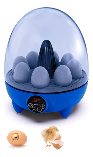 Criadoras Para Incubar Con Vista De 360 Huevos Para Controla