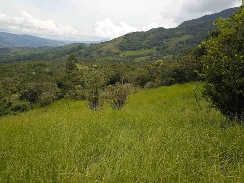 Finca En Guacamayas, Santander, Al Día En Documentos.