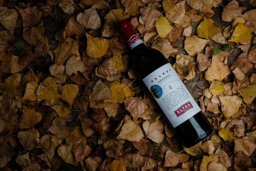 Altos Las Hormigas The Malbec Specialist - Caja 6 X 750ml