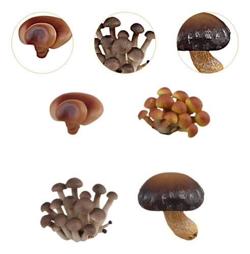 Juguete Con Ciclo De Crecimiento Simulado De Hongos Marrones