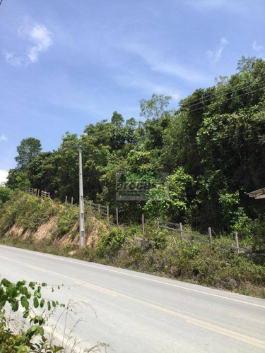 Terreno À Venda, 1500000 M² Por R$ 1.000.000 - Zona Rural De Rio Preto Da Eva - Rio Preto Da Eva/am - Te0797