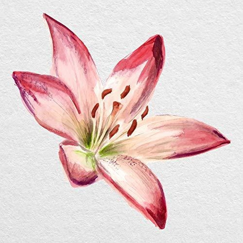 Acuarela Stargazer Lily Flower - Calcomanía De Vinilo Impres