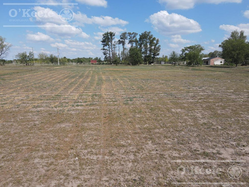 Imagen 7 de 14 de Lotes En Venta En El Pato - Berazategui - Terrenos Desde 295 M2
