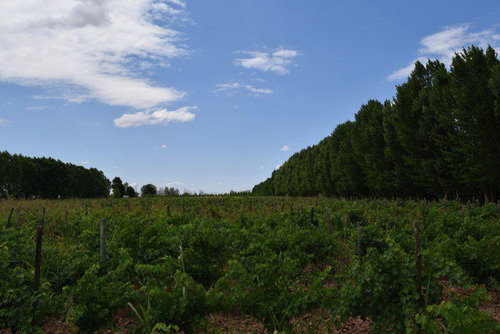 Jocoli - Ruta 40 Km 3347