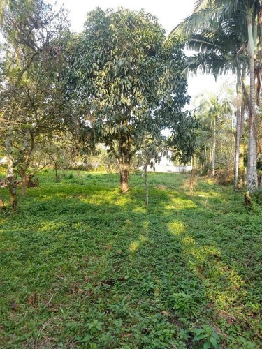 Imagem 10 de 15 de Charmosa Chácara Localizada Na Vila Das Palmeiras - Preço Imperdível - Ch0139