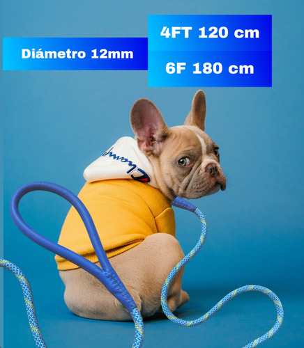 Correa Para Perro Con Asa De Cuero Suave 6m Verde