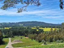 Comprar Parcelas En Oferta Cerca De Villarrica Y Loncoche Rol Propio