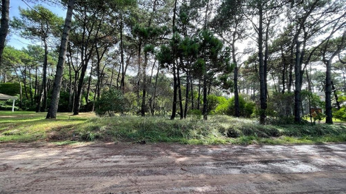 Imagen 15 de 16 de Lote Venta Z/ Norte Pinamar - Lote 11