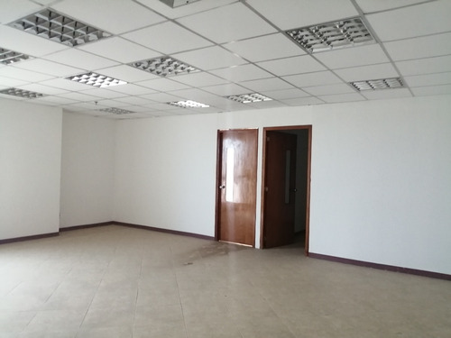 Imagen 7 de 9 de Locales En Alquiler En La Torre Bvc, Lechería