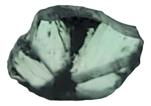 Esmeralda Trapiche Fluorescente Natural 0.84 Ct $ 200.000