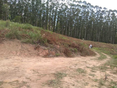 Imagem 11 de 14 de Terreno 1000m² A Venda Em Igaratá-sp Vista Para A Represa Er