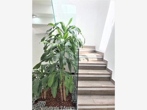 Imagen 8 de 12 de Casa Sola En Venta Residencial Platinum