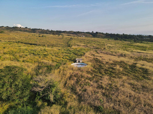 Imagen 3 de 24 de Granja En Venta Yaritagua 12 Hectareas Cod. 23-17577