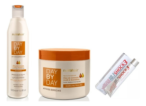 Kit Day By Day Óleo De Cenoura 500ml Nutra Hair + Brinde