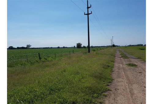 Imagen 6 de 10 de Campo En Ramallo 12 Has