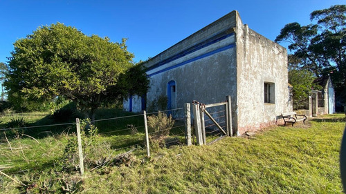 Imagen 15 de 30 de Se Vende Campo De 77 Has En Maldonado. A Pocos Km De Aiguá En Zona De Ruta 39. Ubicación Privilegiada!