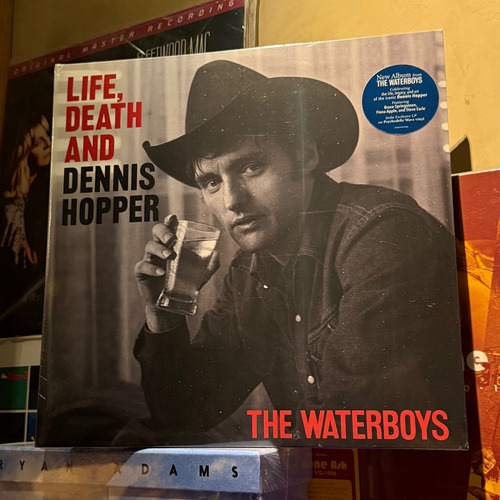 Waterboys Life Death And Dennis Hopper Vinilo