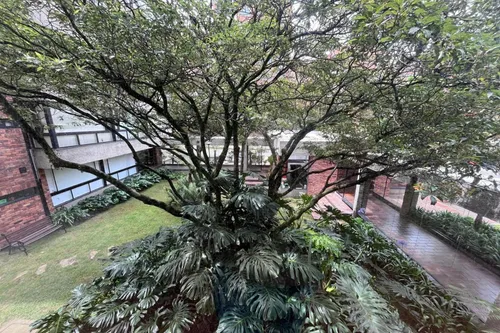 Apartamento En Arriendo En Los Rosales. Cod A1846