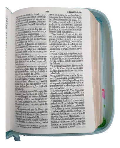 Biblia Reina Valera 1960 Bolsillo Azul/ Verde Pájaro