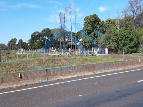 Imagem 17 de 30 de Chacara - Ch00014 - 69832043