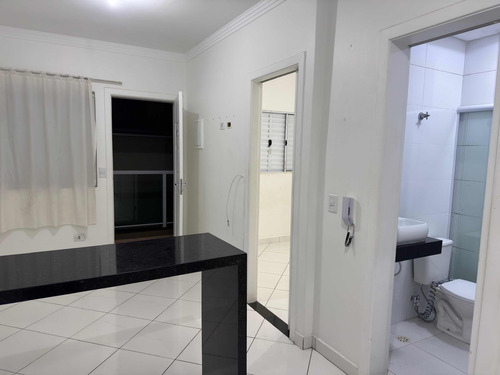 Apartamento 2 Dorm, Vila Granada, Direto Com Proprietário.