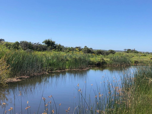 Imagen 2 de 4 de Campo - José Ignacio