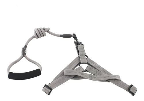 Arnes Para Perros Con Pretal + Correa 138 Cm Con Agarre