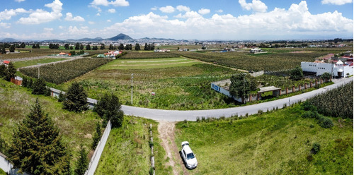 Imagen 4 de 12 de Terreno En Venta En Cacalomacan