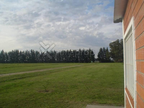 Imagen 3 de 5 de Rn9 100 - Baradero - Baradero