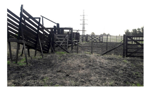 Imagen 6 de 6 de Campo En Venta En Punta Indio 93 Hectáreas Sobre Ruta