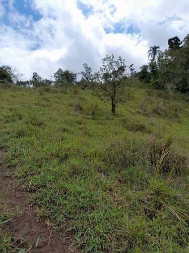 Imagem 14 de 14 de 06e- Lote Para Chácara 1000m2 Plano 100% (igaratá)