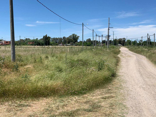Imagen 9 de 12 de Terreno En Venta En Los Hornos | 80 Bis E/141y142 (lote 16)