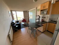 Comprar Arriendo Depto. Amoblado, Parque Urbano 1d\u002F1b\u002F1e\u002F