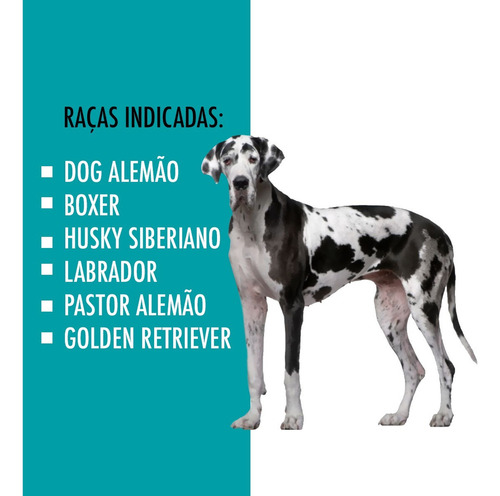 Casinha Para Cachorros N7 Com Colchão Rinopet Cor Azul