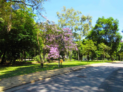 Imagem 19 de 28 de Terreno-são Paulo-alto Da Boa Vista | Ref.: Reo38411 - Reo38411