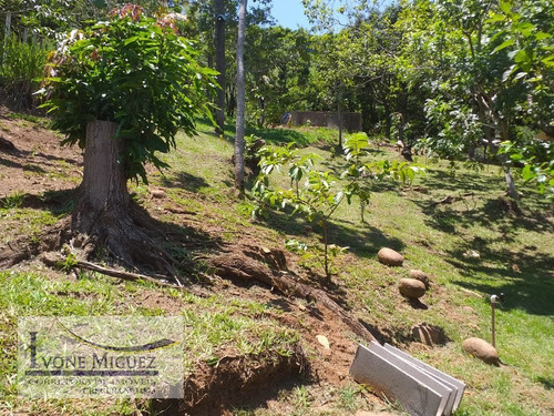 Imagem 11 de 15 de Sítio Em Santa Branca - Miguel Pereira - 3174