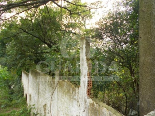 Imagem 3 de 5 de Terreno - Vila Conceicao - Ref: 34191 - V-34191