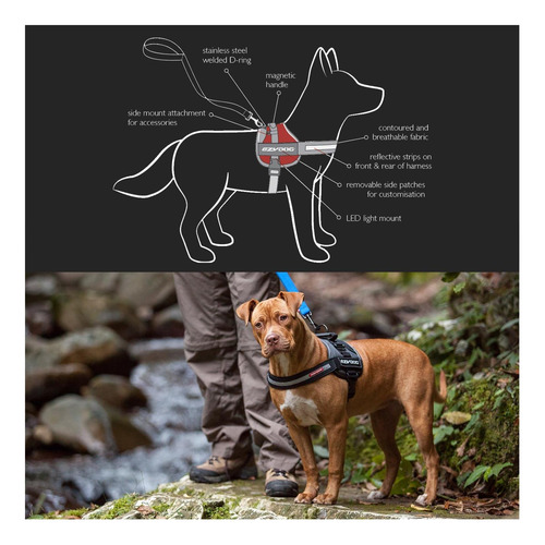 Arnés De Perro Listo Para El Sendero Ezydog Convert, Carbón) Carbón.
