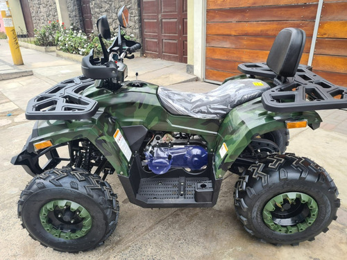 Imagen 22 de 22 de Cuatrimoto Braves 200cc Pro 13 Hp, Año 2022 0 Klm Pantalla D