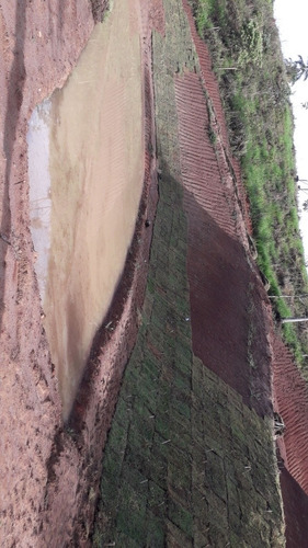 Imagem 9 de 14 de Linda Chácara De 2500m Pronta Para Construir